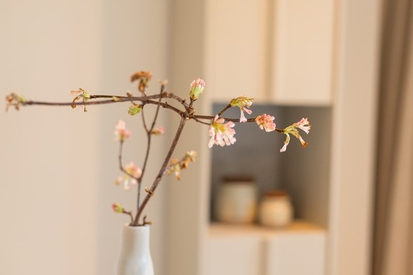 FotovanDana-1-Lange Kerkstraat 14-19.jpg